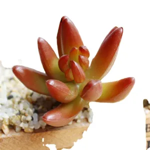 Artificial Green Purple Red Blue Succulent Plants Home Garden Wedding Decoration Mini Desktop Bonsai DIY Plante Artificielle