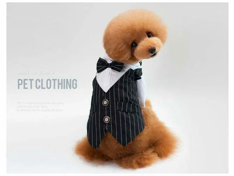dog clothes Blue S KLN-1703BU