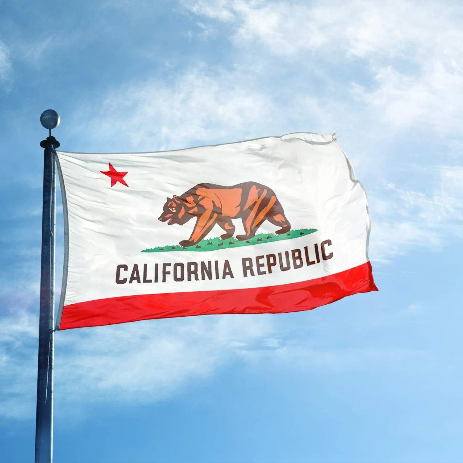 Jetlifee 3x5 Ft Printed California State Flag