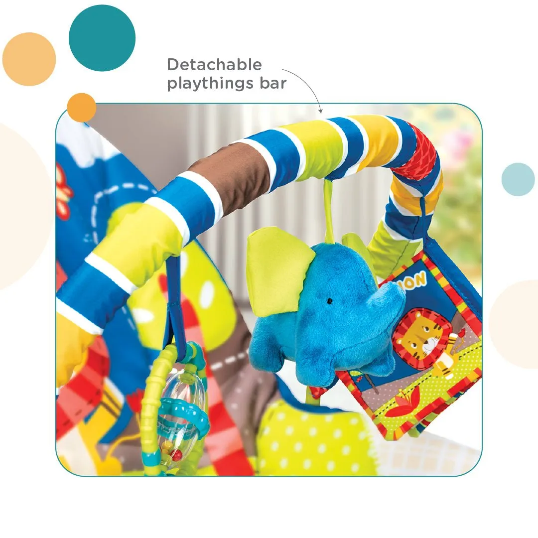 Mastela Newborn to Toddler Rocker- Blue