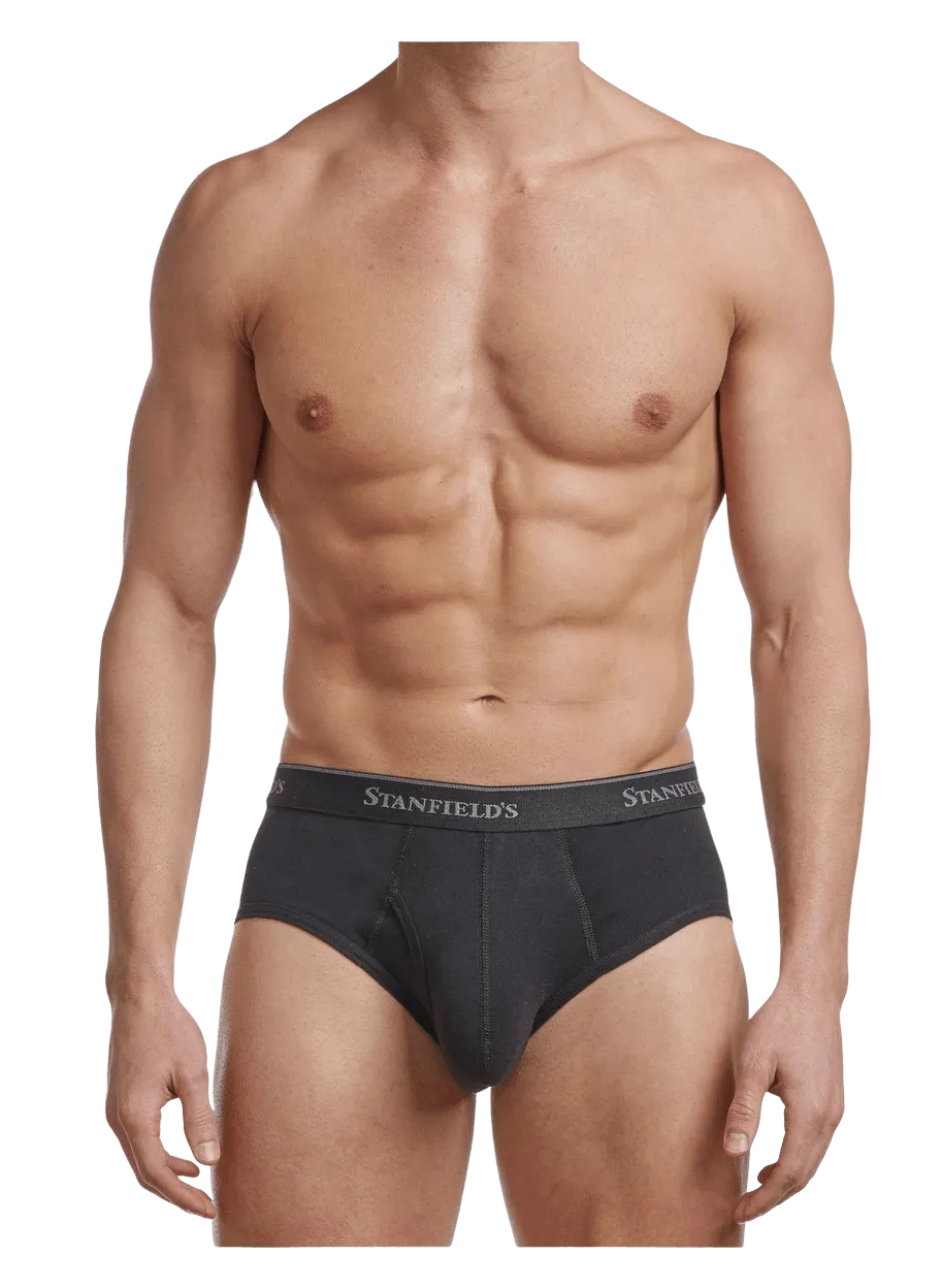 Men's Premium Modern Fit Brief - 2 Pack