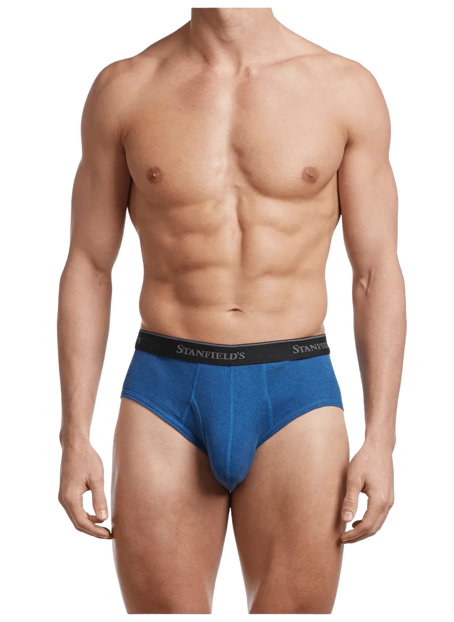 Men's Premium Modern Fit Brief - 2 Pack