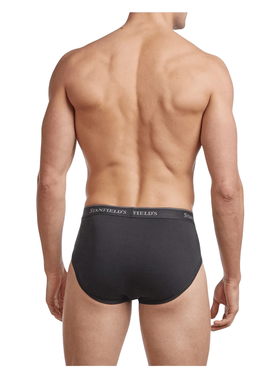 Men's Premium Modern Fit Brief - 2 Pack