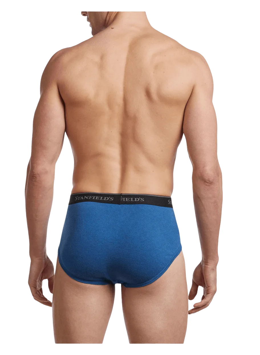 Men's Premium Modern Fit Brief - 2 Pack