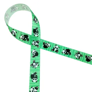 Panda Bear Ribbon on a green bamboo background printed on 5/8" white single face satin
